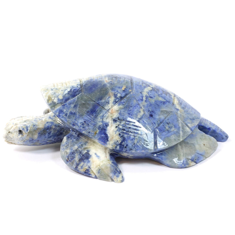 Sodalite Spirit Animal - The Turtle (1127g)