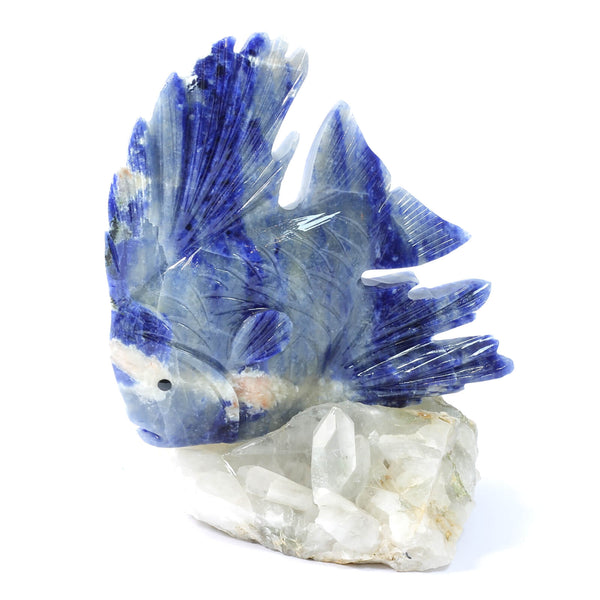 Sodalite Spirit Animal - The Fish (1504g)