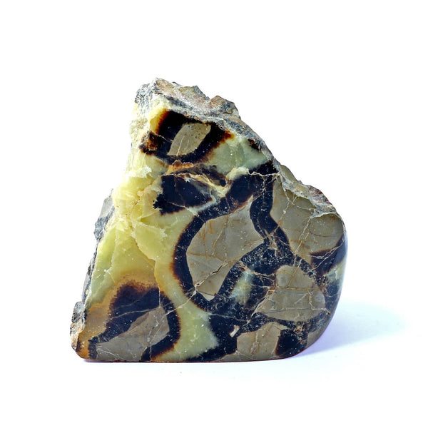 Septarian Standing Stone (906g)