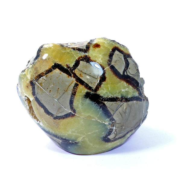 Septarian Standing Stone (1235g)