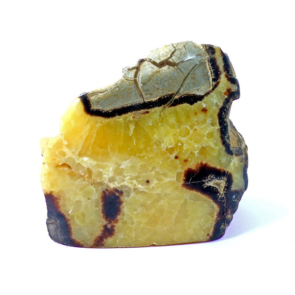 Septarian Standing Stone (1173g)