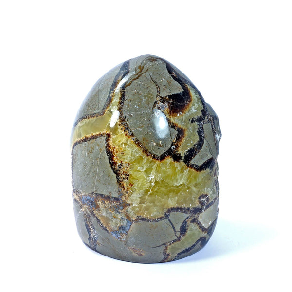 Septarian Standing Stone (1074g)