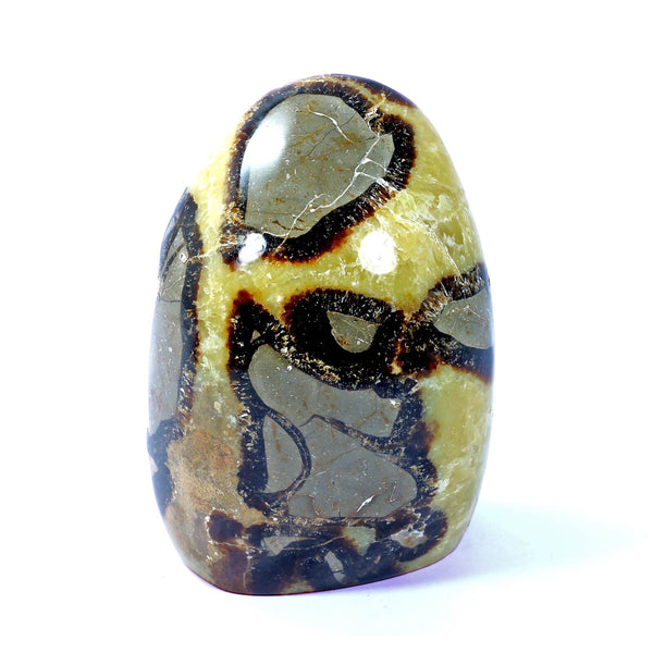 Septarian Standing Stone (1103g)