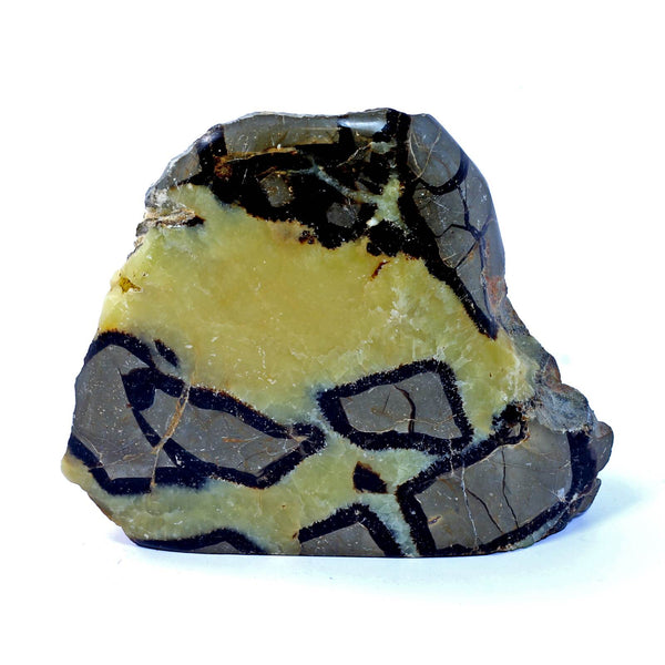 Septarian Standing Stone (992g)