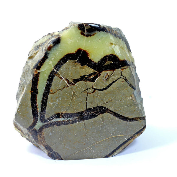 Septarian Standing Stone (1296g)