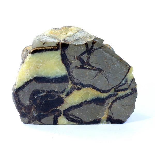 Septarian Standing Stone (1352g)