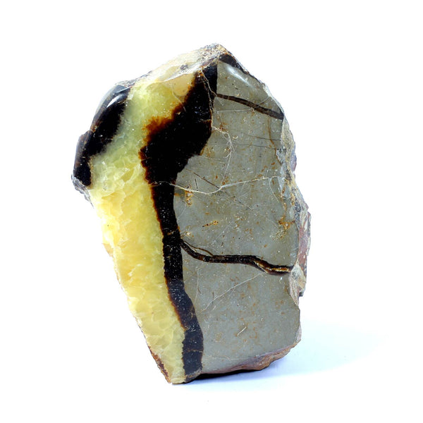 Septarian Standing Stone (1033g)