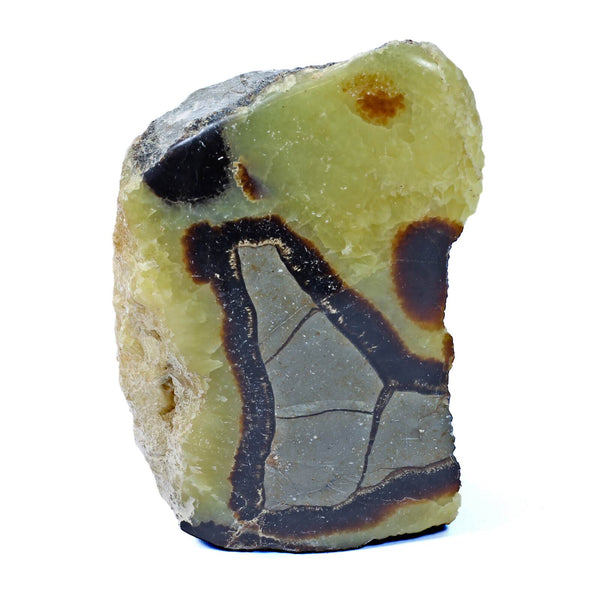 Septarian Standing Stone (1424g)