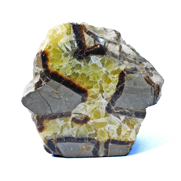 Septarian Standing Stone (1183g)