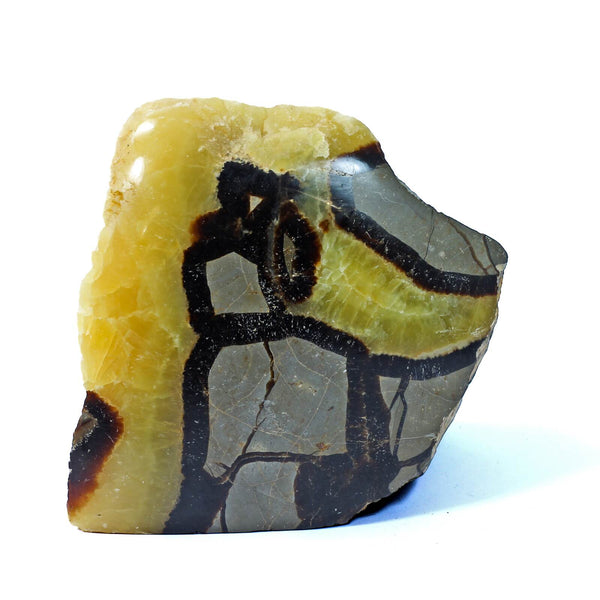 Septarian Standing Stone (1144g)