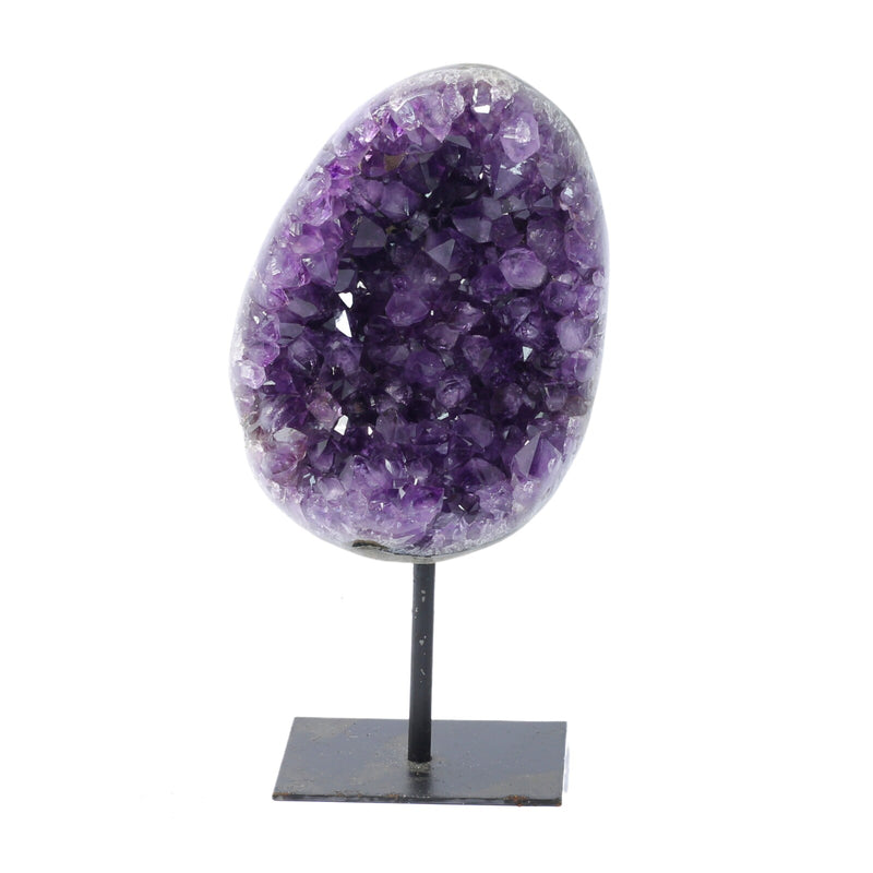 Amethyst Cluster On A Display Stand (1318g)