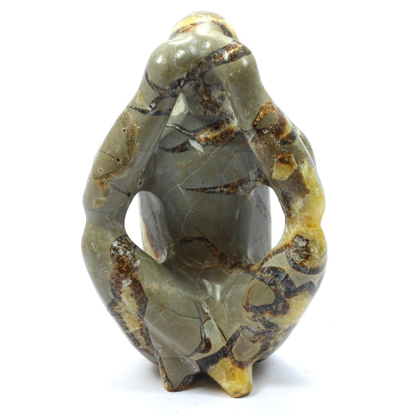 Septarian Thinking Man (1827g)